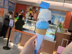 -Dal Cuore 达可芮冰淇淋(陕西北路店)