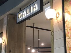 门面-Calia