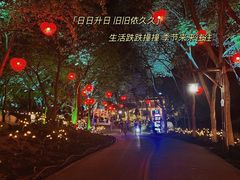 -天目湖山水园