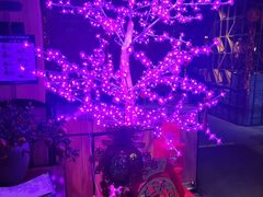 -老墙根涮肉·铜锅·烧烤(欢乐谷·王四营店)