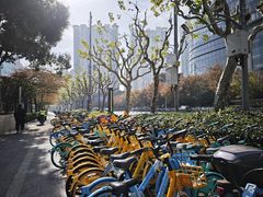 -上海中心大厦