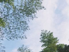 -天目湖涵田度假村
