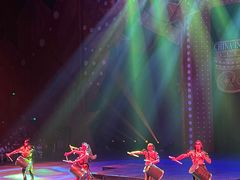 -珠海横琴长隆《卡卡虎奇遇记》