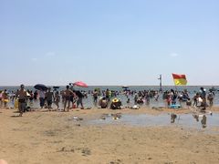 -碧海金沙