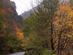 -秦岭风景区