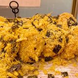 减肥星人一定会爱上的山河饼局🔥