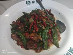 -万象汇