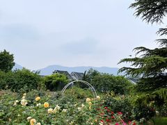 -国家植物园南园