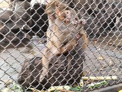 -长白岛森林公园