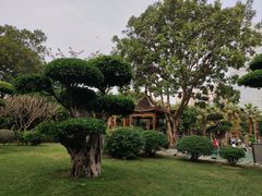 -南宁南湖公园