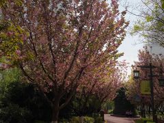 -西安汉城湖景区