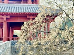 -函谷关历史文化旅游区