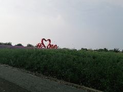 -西京湾花海