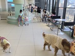 -怪兽屋·羊驼·猫咖·狗咖(俊华广场店)