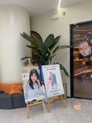 -YESIDO BLACK椰岛造型