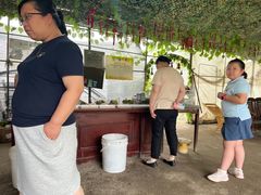 -马陆小张葡萄园农家乐