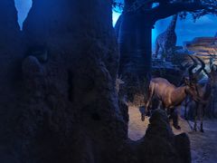 -天津自然博物馆