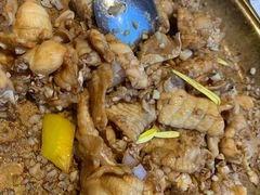 -港升鱼师傅·中山脆肉鲩