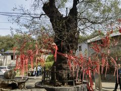 -水峪民俗村