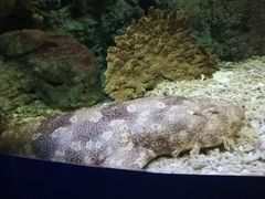 -厦门海底世界