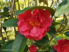 -花溪公园