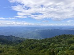 -大围山国家森林公园