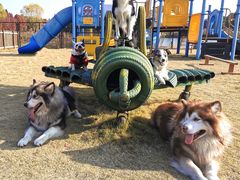 -太阳岛度假酒店