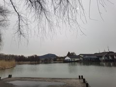 -长广溪湿地公园