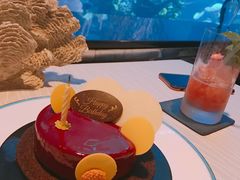 -迪拜帆船酒店海底餐厅