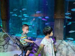 -沈阳海洋探索中心