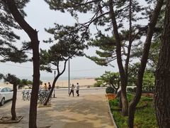 -老虎石海上公园