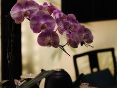 -宫燕府·京菜·烤鸭·淮扬菜(王府中心店)