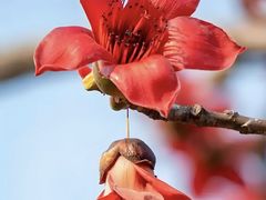 -深圳罗湖木棉花凯悦尚选酒店•大堂吧