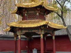 -护国法轮寺