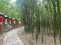 -同里国家湿地公园