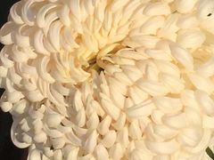 -北京植物园-展览温室