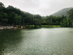 -桃花涧