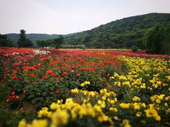 -龙寺生态园