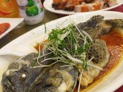 清蒸老虎斑-鸿记海鲜大酒楼(开发区店)