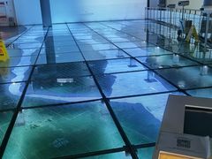 -上海长江河口科技馆