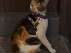 -Again Coffee Roaster(香蜜湖店)