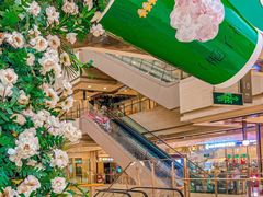 -鲜芒多·杨枝甘露(摩尔城A座10楼店)