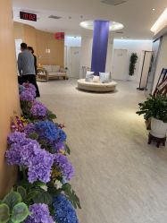 -天津伊美尔医疗整形美容专科医院