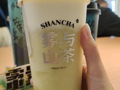 -雾与山茶(大禹城店)