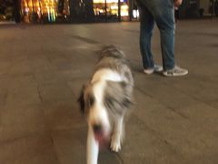 -金融街·静安中心