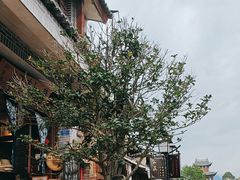 -巍山古城