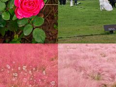 -汉长安城未央宫国家考古遗址公园