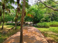 -红色娘子军纪念园