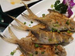 -德兴show鲜·蒸汽海鲜火锅餐厅(格创悦里店)
