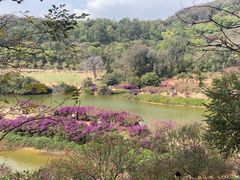 -南国桃园旅游度假区